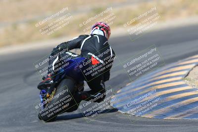 media/Apr-10-2022-SoCal Trackdays (Sun) [[f104b12566]]/Turn 11 Backside (945am)/